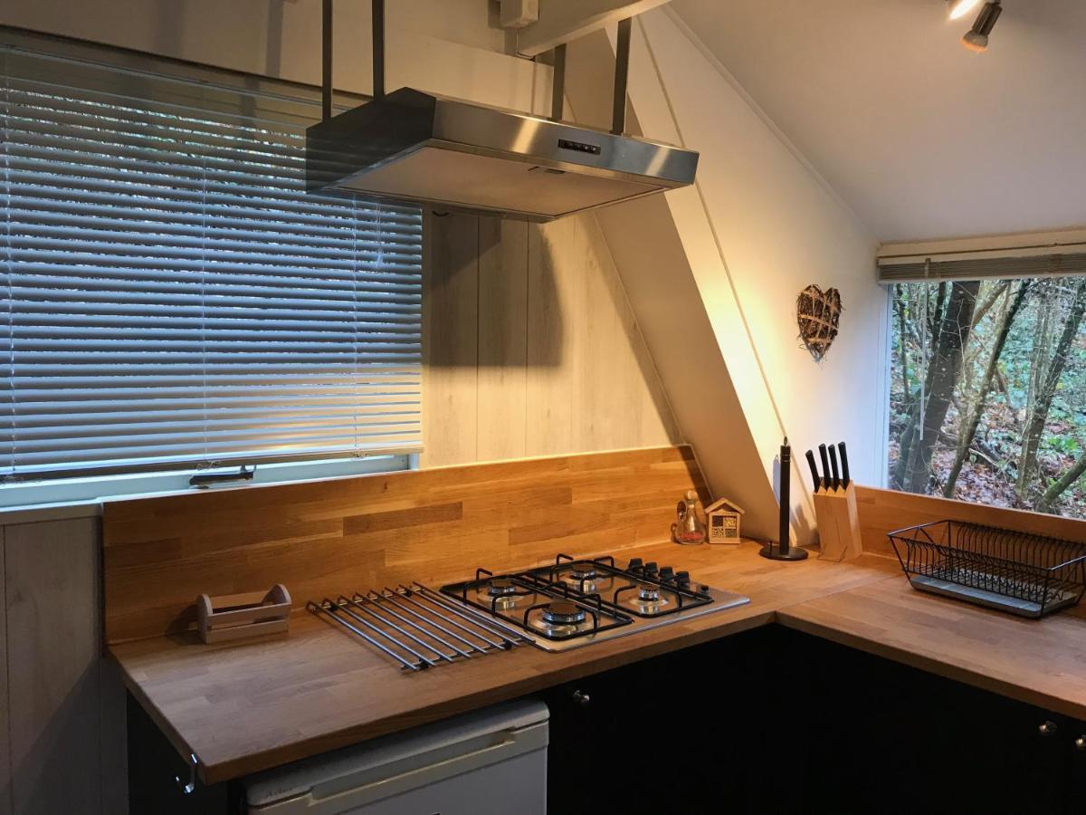 Heavenly Renovated Cabin Near Pittoresque Durbuy - Whistler Willa Zewnętrze zdjęcie