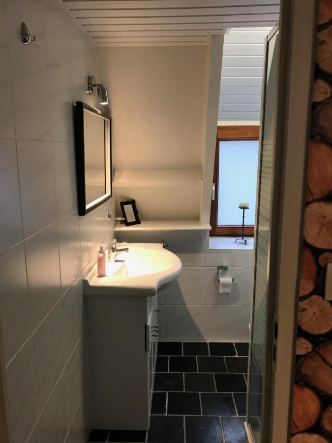 Heavenly Renovated Cabin Near Pittoresque Durbuy - Whistler Willa Zewnętrze zdjęcie
