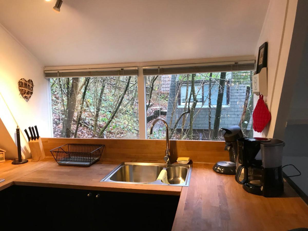 Heavenly Renovated Cabin Near Pittoresque Durbuy - Whistler Willa Zewnętrze zdjęcie