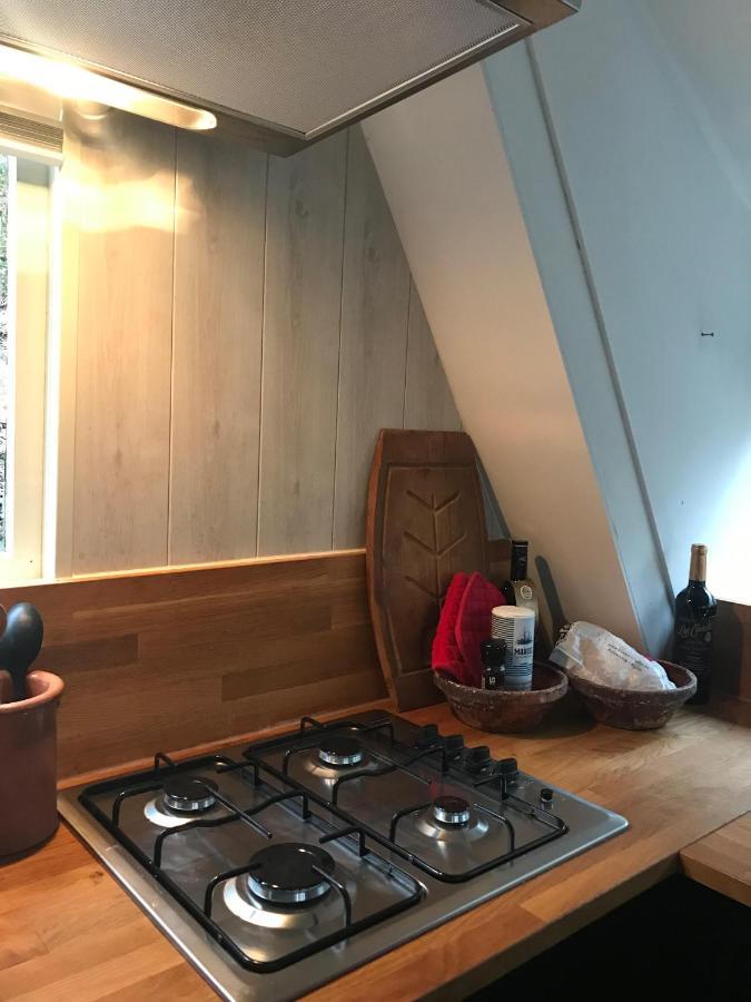Heavenly Renovated Cabin Near Pittoresque Durbuy - Whistler Willa Zewnętrze zdjęcie