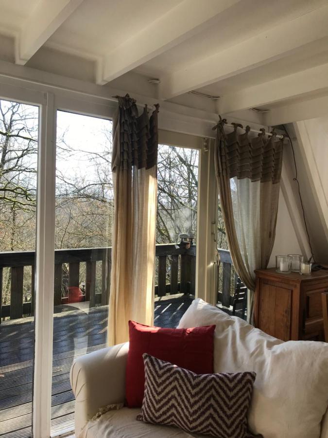 Heavenly Renovated Cabin Near Pittoresque Durbuy - Whistler Willa Zewnętrze zdjęcie